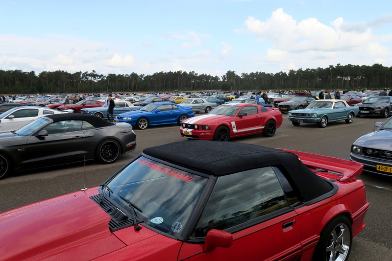 Illustration for article titled Belgium Takes The Ford Mustang World Record